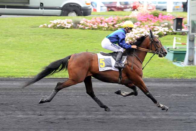 Photo d'arrivée de la course pmu PRIX CAMILLE LEPECQ à PARIS-VINCENNES le Samedi 2 septembre 2017