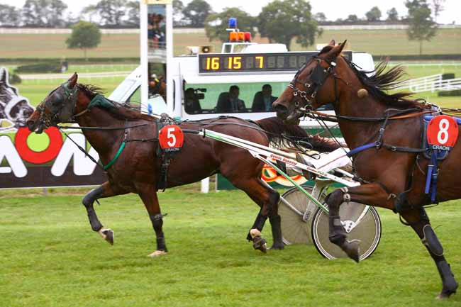 Photo d'arrivée de la course pmu PRIX GENDRY LOCATION FORAGE DIRIGE à CRAON le Dimanche 3 septembre 2017