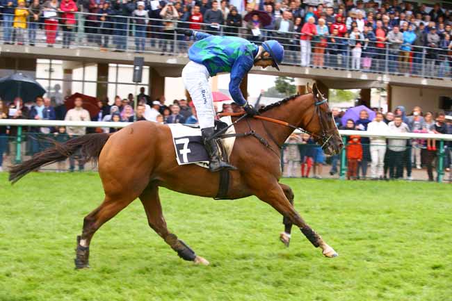 Photo d'arrivée de la course pmu PRIX LOUIS DE GUEBRIANT à CRAON le Dimanche 3 septembre 2017