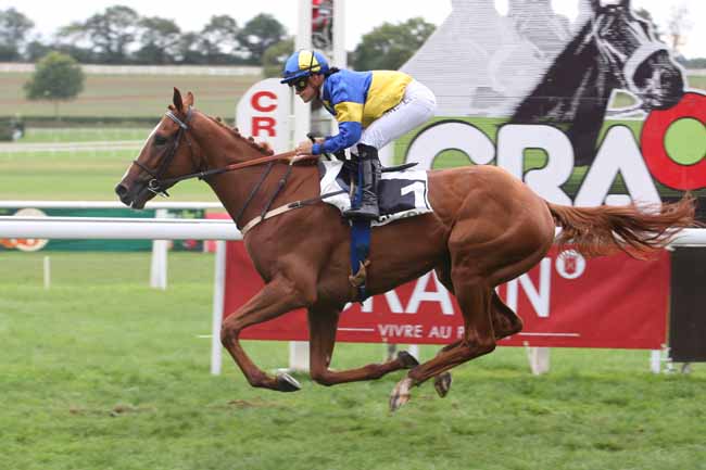 Photo d'arrivée de la course pmu PRIX RICHARD DE GENNES à CRAON le Lundi 4 septembre 2017