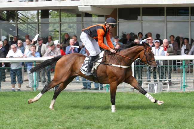 Photo d'arrivée de la course pmu PRIX FINEAU à CRAON le Lundi 4 septembre 2017