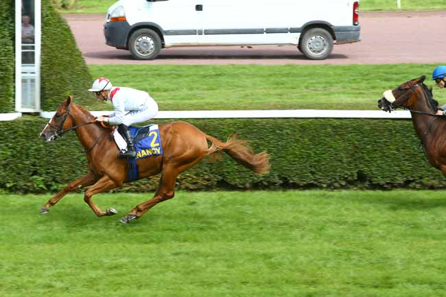 Photo d'arrivée de la course pmu PRIX FORNELLS à NANCY le Mardi 5 septembre 2017