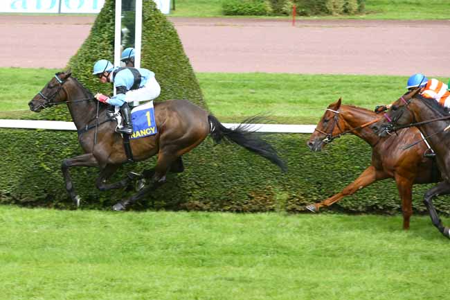 Photo d'arrivée de la course pmu PRIX DU COMITE 54 DE LA LIGUE CONTRE LE CANCER à NANCY le Mardi 5 septembre 2017