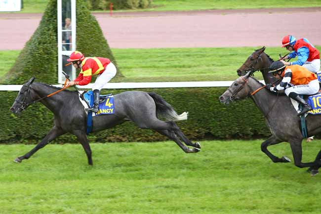 Photo d'arrivée de la course pmu PRIX DE L'EST REPUBLICAIN à NANCY le Mardi 5 septembre 2017