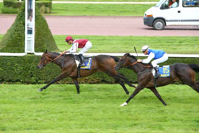 Photo d'arrivée de la course pmu PRIX METROPOLE DU GRAND NANCY à NANCY le Mardi 5 septembre 2017
