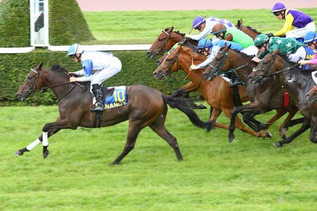 Photo d'arrivée de la course pmu PRIX DU SYNDICAT DES PROPRIETAIRES DE CHEVAUX DE COURSES à NANCY le Mardi 5 septembre 2017