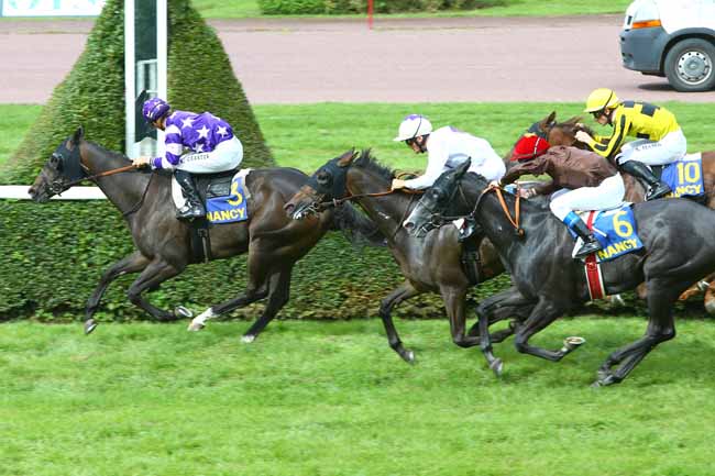 Photo d'arrivée de la course pmu PRIX DU POLE HIPPIQUE REGIONAL DE ROSIERES-AUX-SALINES à NANCY le Mardi 5 septembre 2017