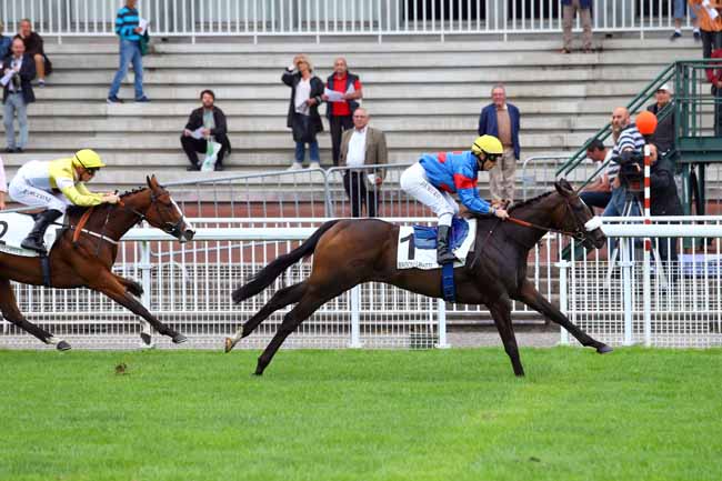 Photo d'arrivée de la course pmu PRIX ESMERALDA à MAISONS-LAFFITTE le Mardi 5 septembre 2017