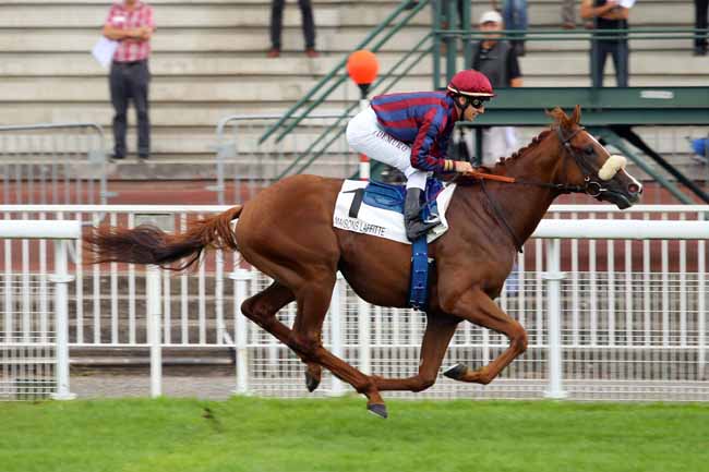 Photo d'arrivée de la course pmu PRIX NINO à MAISONS-LAFFITTE le Mardi 5 septembre 2017