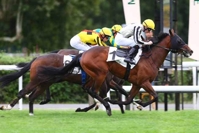 Photo d'arrivée de la course pmu PRIX DE LEVIS SAINT-NOM à MAISONS-LAFFITTE le Mardi 5 septembre 2017