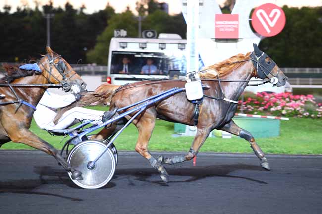 Photo d'arrivée de la course pmu PRIX SEMELE (GR A) à PARIS-VINCENNES le Mardi 5 septembre 2017