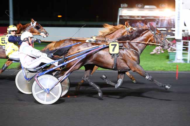 Photo d'arrivée de la course pmu PRIX AMALIA à PARIS-VINCENNES le Mardi 5 septembre 2017