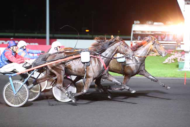 Photo d'arrivée de la course pmu PRIX BADENIA à PARIS-VINCENNES le Mardi 5 septembre 2017