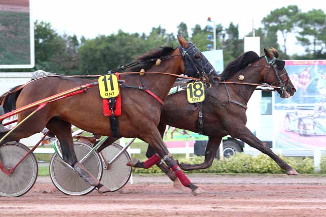 Photo d'arrivée de la course pmu GRAND NATIONAL DU TROT PARIS-TURF à LE MANS le Mercredi 6 septembre 2017