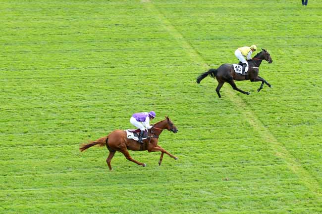 Photo d'arrivée de la course pmu PRIX JEAN BART à AUTEUIL le Jeudi 7 septembre 2017