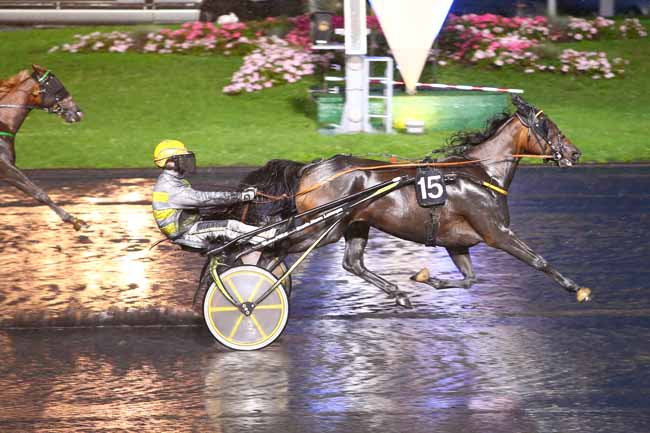 Photo d'arrivée de la course pmu PRIX ADELINDA à PARIS-VINCENNES le Vendredi 8 septembre 2017