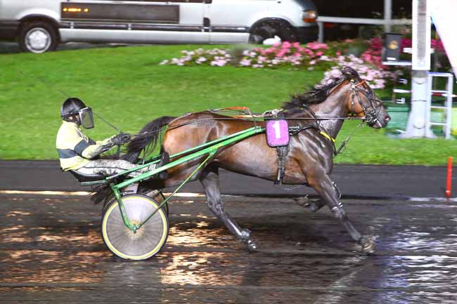 Photo d'arrivée de la course pmu PRIX HELENA à PARIS-VINCENNES le Vendredi 8 septembre 2017