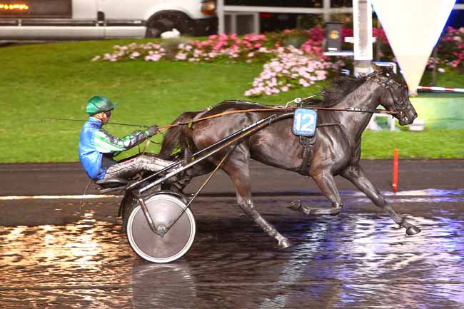 Photo d'arrivée de la course pmu PRIX PLUTON à PARIS-VINCENNES le Vendredi 8 septembre 2017