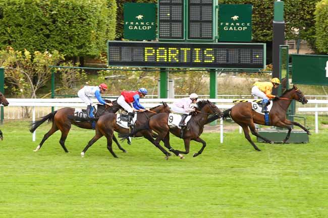 Photo d'arrivée de la course pmu PRIX DES ACACIAS à SAINT-CLOUD le Vendredi 8 septembre 2017