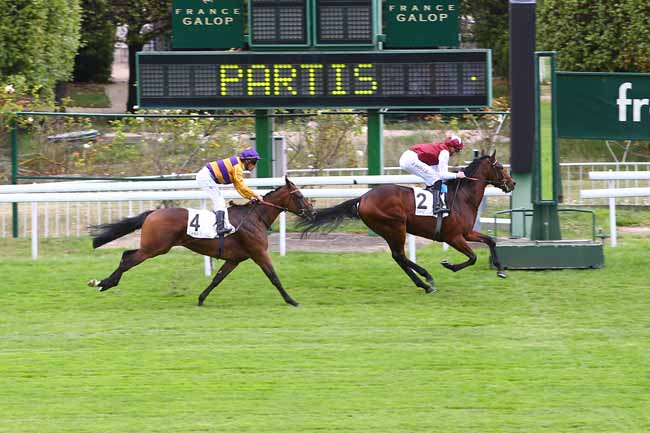 Photo d'arrivée de la course pmu PRIX LA ROCHETTE à SAINT-CLOUD le Vendredi 8 septembre 2017