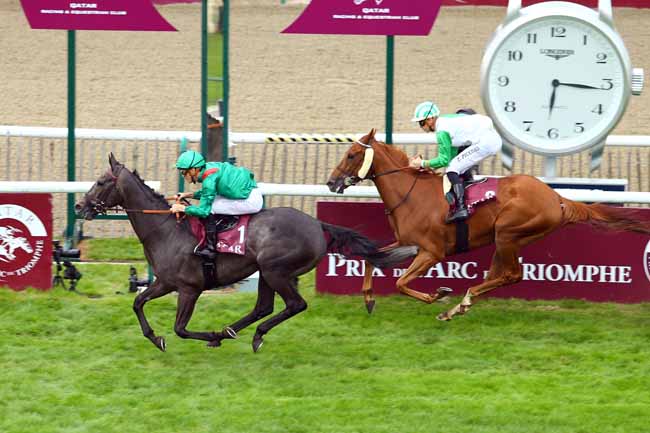 Photo d'arrivée de la course pmu QATAR PRIX GLADIATEUR à CHANTILLY le Dimanche 10 septembre 2017