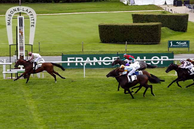 Photo d'arrivée de la course pmu PRIX DU BRIONNAIS à MAISONS-LAFFITTE le Lundi 11 septembre 2017