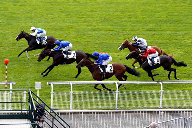 Photo d'arrivée de la course pmu PRIX SARACA à MAISONS-LAFFITTE le Lundi 11 septembre 2017