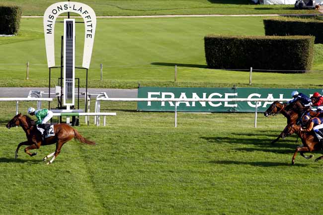 Photo d'arrivée de la course pmu PRIX DU CHAROLAIS à MAISONS-LAFFITTE le Lundi 11 septembre 2017