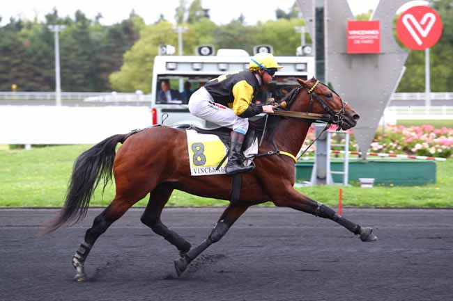 Photo d'arrivée de la course pmu PRIX CENERI FORCINAL à PARIS-VINCENNES le Lundi 11 septembre 2017