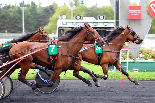 Photo d'arrivée de la course pmu PRIX D'EAUZE à PARIS-VINCENNES le Lundi 11 septembre 2017