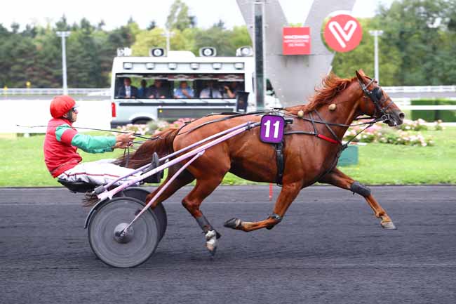 Photo d'arrivée de la course pmu PRIX DE DENAIN à PARIS-VINCENNES le Lundi 11 septembre 2017