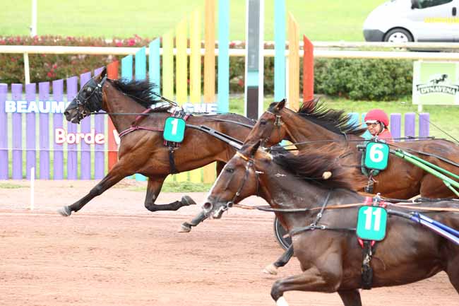 Photo d'arrivée de la course pmu GRAND PRIX DYNAVENA MAISAGRI DURAN à BEAUMONT-DE-LOMAGNE le Mardi 12 septembre 2017