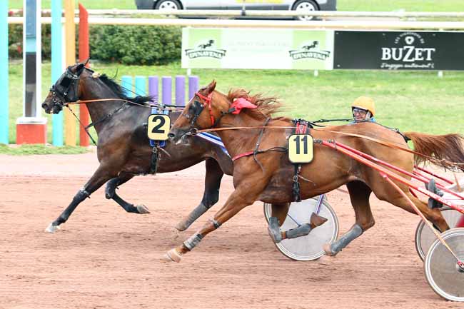 Photo d'arrivée de la course pmu PRIX COMTE DE POUY à BEAUMONT-DE-LOMAGNE le Mardi 12 septembre 2017