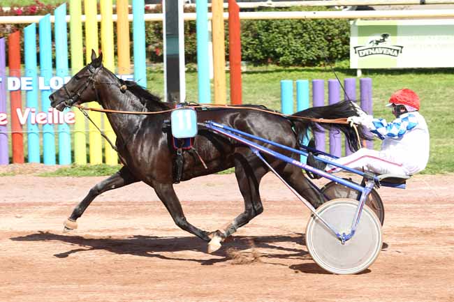 Photo d'arrivée de la course pmu PRIX EDOUARD DUMOUCH à BEAUMONT-DE-LOMAGNE le Mardi 12 septembre 2017