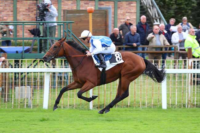 Photo d'arrivée de la course pmu PRIX DU PONT DE VALVINS à FONTAINEBLEAU le Mardi 12 septembre 2017