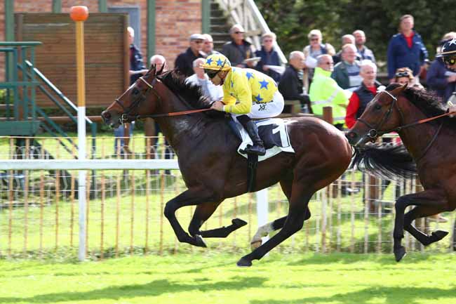 Photo d'arrivée de la course pmu PRIX DES FOUGERES à FONTAINEBLEAU le Mardi 12 septembre 2017