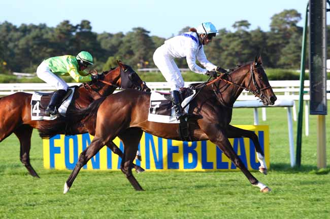 Photo d'arrivée de la course pmu PRIX DU COMITE DEPARTEMENTAL DU TOURISME DE SEINE-ET-MARNE à FONTAINEBLEAU le Mardi 12 septembre 2017