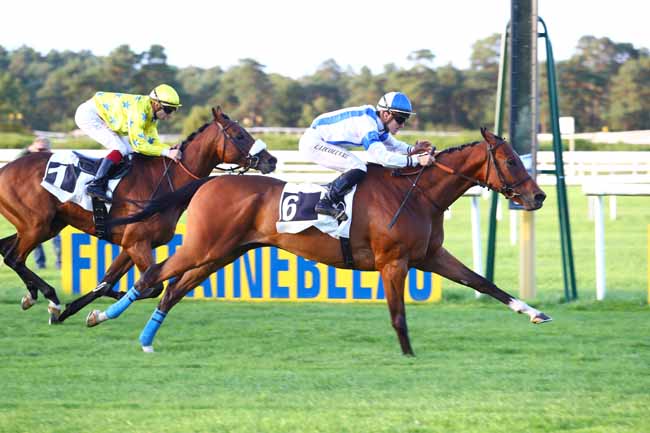 Photo d'arrivée de la course pmu PRIX CAATEAU LANDON à FONTAINEBLEAU le Mardi 12 septembre 2017