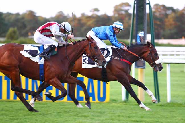 Photo d'arrivée de la course pmu PRIX GEORGES COURTOIS à FONTAINEBLEAU le Mardi 12 septembre 2017