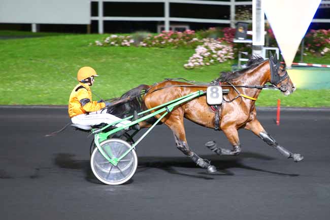 Photo d'arrivée de la course pmu PRIX ERATO à PARIS-VINCENNES le Mardi 12 septembre 2017