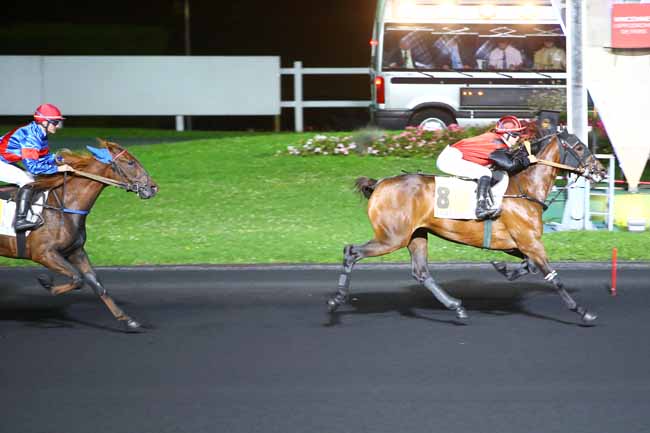 Photo d'arrivée de la course pmu PRIX MUSCA à PARIS-VINCENNES le Mardi 12 septembre 2017
