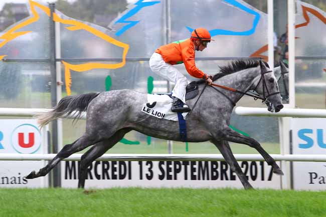 Photo d'arrivée de la course pmu PRIX PAUL SAULOU à LE LION D'ANGERS le Mercredi 13 septembre 2017