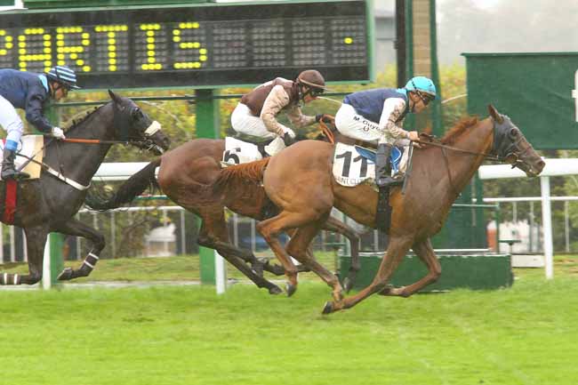 Photo d'arrivée de la course pmu PRIX DE LA FELICITE à SAINT-CLOUD le Mercredi 13 septembre 2017