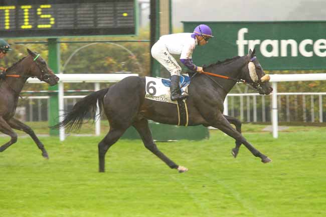 Photo d'arrivée de la course pmu PRIX DE LA DEFENSE à SAINT-CLOUD le Mercredi 13 septembre 2017