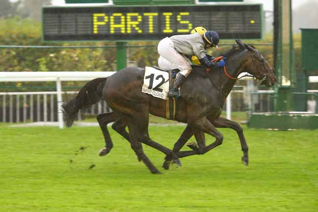 Photo d'arrivée de la course pmu PRIX DU SQUARE DES BATIGNOLLES à SAINT-CLOUD le Mercredi 13 septembre 2017