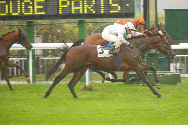 Photo d'arrivée de la course pmu PRIX DE FAUSSES REPOSES à SAINT-CLOUD le Mercredi 13 septembre 2017
