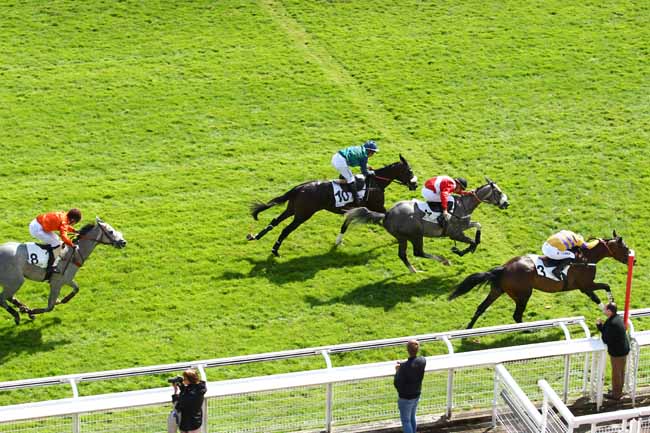 Photo d'arrivée de la course pmu PRIX FINOT (PELOTON B) à AUTEUIL le Jeudi 14 septembre 2017