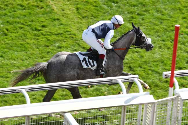 Photo d'arrivée de la course pmu PRIX ALAIN ET GILLES DE GOULAINE à AUTEUIL le Jeudi 14 septembre 2017
