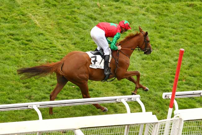 Photo d'arrivée de la course pmu PRIX ROYAL JUNIOR à AUTEUIL le Jeudi 14 septembre 2017