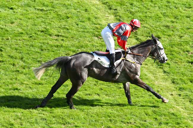 Photo d'arrivée de la course pmu PRIX PIERRE CYPRES à AUTEUIL le Jeudi 14 septembre 2017
